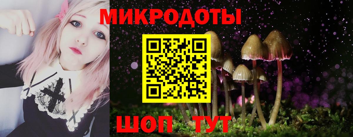Галлюциногенные грибы прущие грибы  цена   Рубцовск  Вход с VPN  Псилоцибиновые грибы ЛСД 