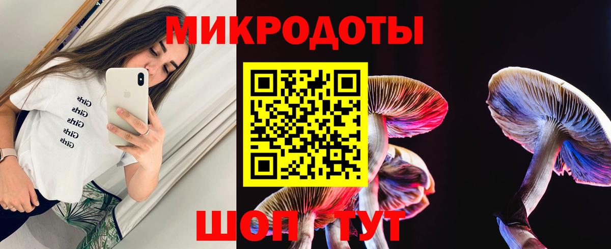 Псилоцибиновые грибы Psilocybe Рубцовск